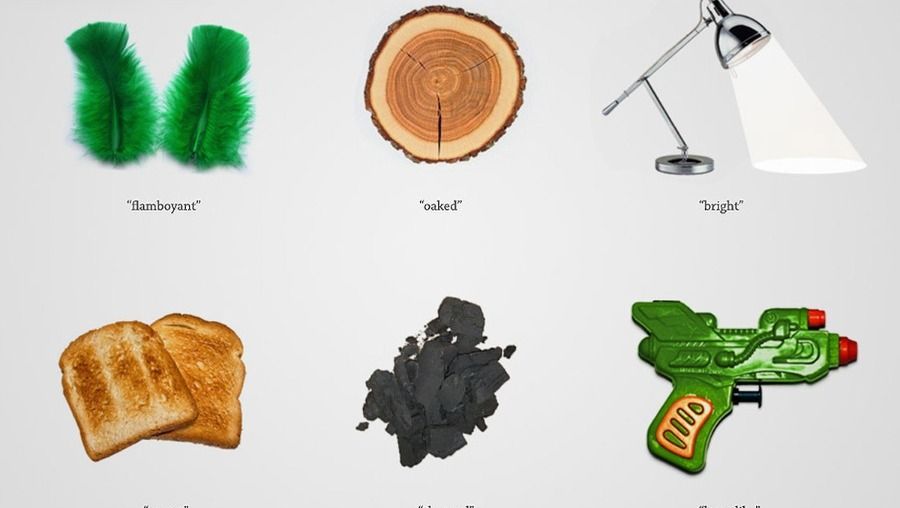 Definition What does Earthy mean? Cape Discovery